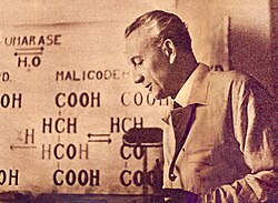 Albert Szent-Györgyi won the Nobel Prize in Physiology or Medicine for his discovery of Vitamin C. The Nobel Prize has been awarded to 15 Hungarians.