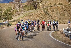 The final stage in Australia's Tour of Gippsland climbing up "The Gap" to Omeo