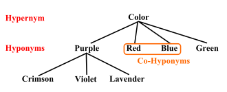 An example of the relationship between hyponyms and hypernym