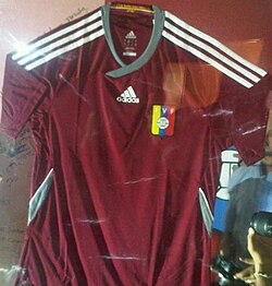 Adidas jersey worn during the 2014 World Cup qualifying