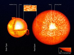 An illustration of the structure of the Sun and a red giant star, showing their convective zones. These are the granular zones in the outer layers of these stars.