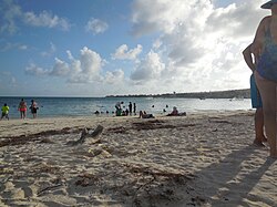 Rocky Cay Beach
