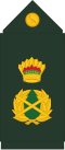 Guyanese Commander in Chief rank insignia