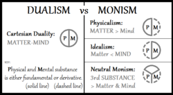 A diagram with neutral monism compared to Cartesian dualism, physicalism and idealism