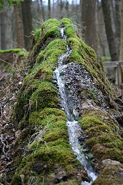 The Steinerne Rinne near Rohrbach, Ettenstatt, county of Weißenburg-Gunzenhausen