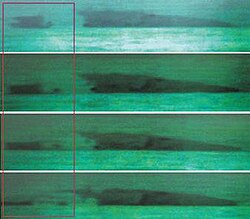 Thermal image of Cheonan sinking