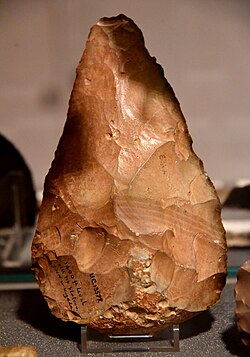 Acheulean hand-axe, found on a hilltop at 1400 feet altitude, nine miles northwest of Naqada, Egypt, displayed in the Petrie Museum of Egyptian Archaeology