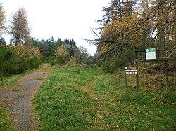 A section of one of General Wade's old military roads, south of Inverness.