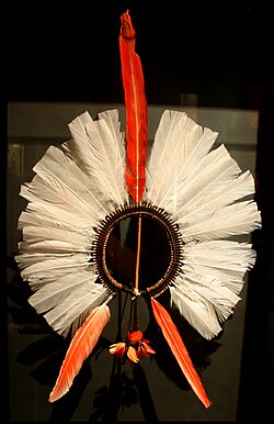 Kayapó headdress, or ákkápa-ri, c. 1910, National Museum of the American Indian