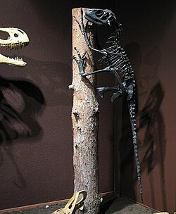Cast in climbing posture