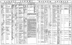 Linnaeus's table of the animal kingdom from the first edition of Systema Naturae (1735)