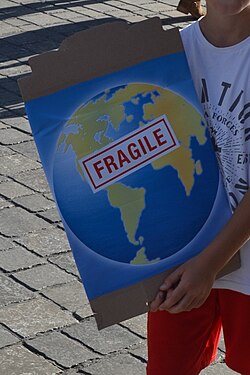 Child demonstrating for actions to protect the environment.