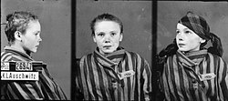 Prisoner identity photograph of a Polish girl taken by the German SS in Auschwitz.[391] Approximately 230,000 children were held prisoner and used in forced labour and Nazi medical experiments.