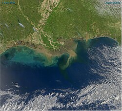 Sediment-laden water pours into the northern Gulf of Mexico from the Atchafalaya River (2009)