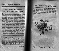 Spread of quarto pages, with decorative tail-piece illustration (1779)