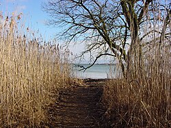 The Mettnau peninsula