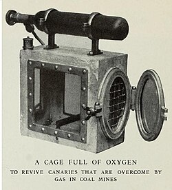 Resuscitation cage with an oxygen cylinder serving as a handle used to revive a canary for multiple uses in detecting carbon monoxide pockets within mines