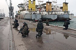 Polish GROM forces in sea operations during the Iraq War