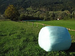 A completely wrapped silage bale in Austria