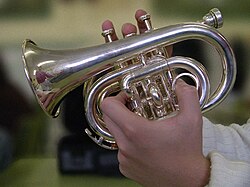 Pocket trumpet