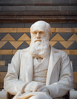A statue of Darwin in the Natural History Museum, London