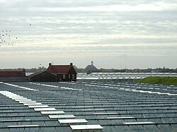 Giant greenhouses in Westland, the Netherlands