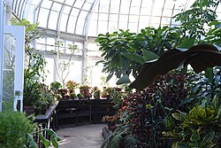 Talcott Greenhouse at Mount Holyoke College Botanic Garden