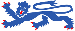 The lion passant guardant used in the logo of the England national football team
