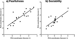 Individual cattle differ in personality traits such as fearfulness and sociability.[21]
