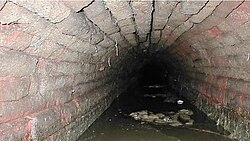 One of the sections of the Roman sewer that passes under the streets of the historic centre of Pavia