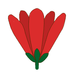Diagram of apopetalous corolla