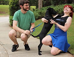 A couple with their pet dog