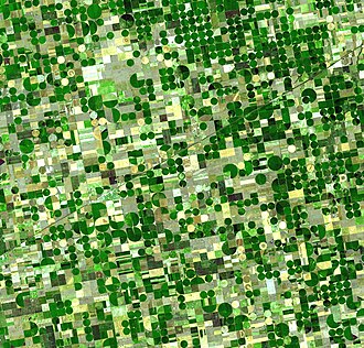 Circular irrigated crop fields in Kansas. Healthy, growing crops of corn and sorghum are green (sorghum may be slightly paler). Wheat is brilliant gold. Fields of brown have been recently harvested and plowed or have lain in fallow for the year.