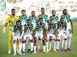 The national football team of Cameroon