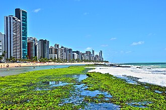 Natural pools – Boa Viagem Beach.