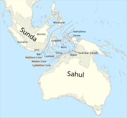 The continent of Sahul before the rising ocean sundered Australia and New Guinea after the last ice age
