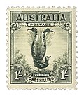 Superb lyrebird on a 1932 Australian postage stamp