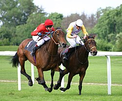 Horse racing