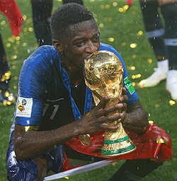 The FIFA World Cup is the largest international competition in football and the world's most viewed sporting event