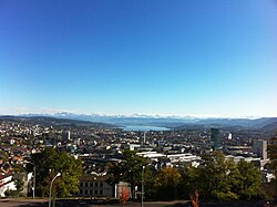Zurich from Waidberg