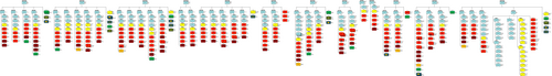 Organization of the Imperial Russian Army, 28 June 1914