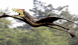 Sericipterus, a pterosaur