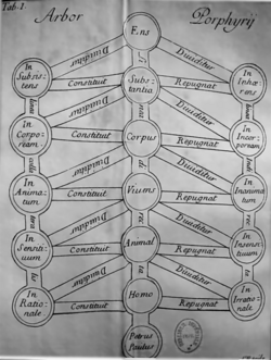 Porphyrian tree by Purchotius (1730), presenting Aristotle's Categories