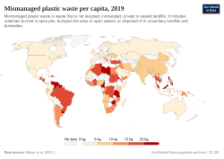 Per capita mismanaged plastic waste (in kilograms per person per day)