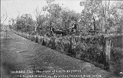 Impact of rabbit-proof fence, Cobar, New South Wales, 1905
