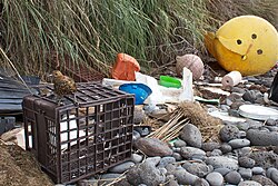Marine debris strewn over the beaches of the South Atlantic Inaccessible Island