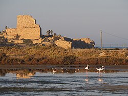 Remains of the Templar fortress of Atlit, the last Crusader outpost in Syria conquered by al-Ashraf Khalil's forces