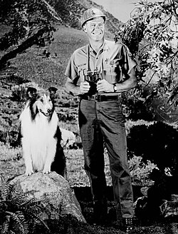 Lassie with Robert Bray as U.S. Forest Ranger Corey Stuart