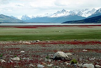 The windswept Patagonian landscape of Santa Cruz.