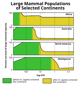 Correlations between times of first appearance of humans and unique megafaunal extinction pulses on different land masses